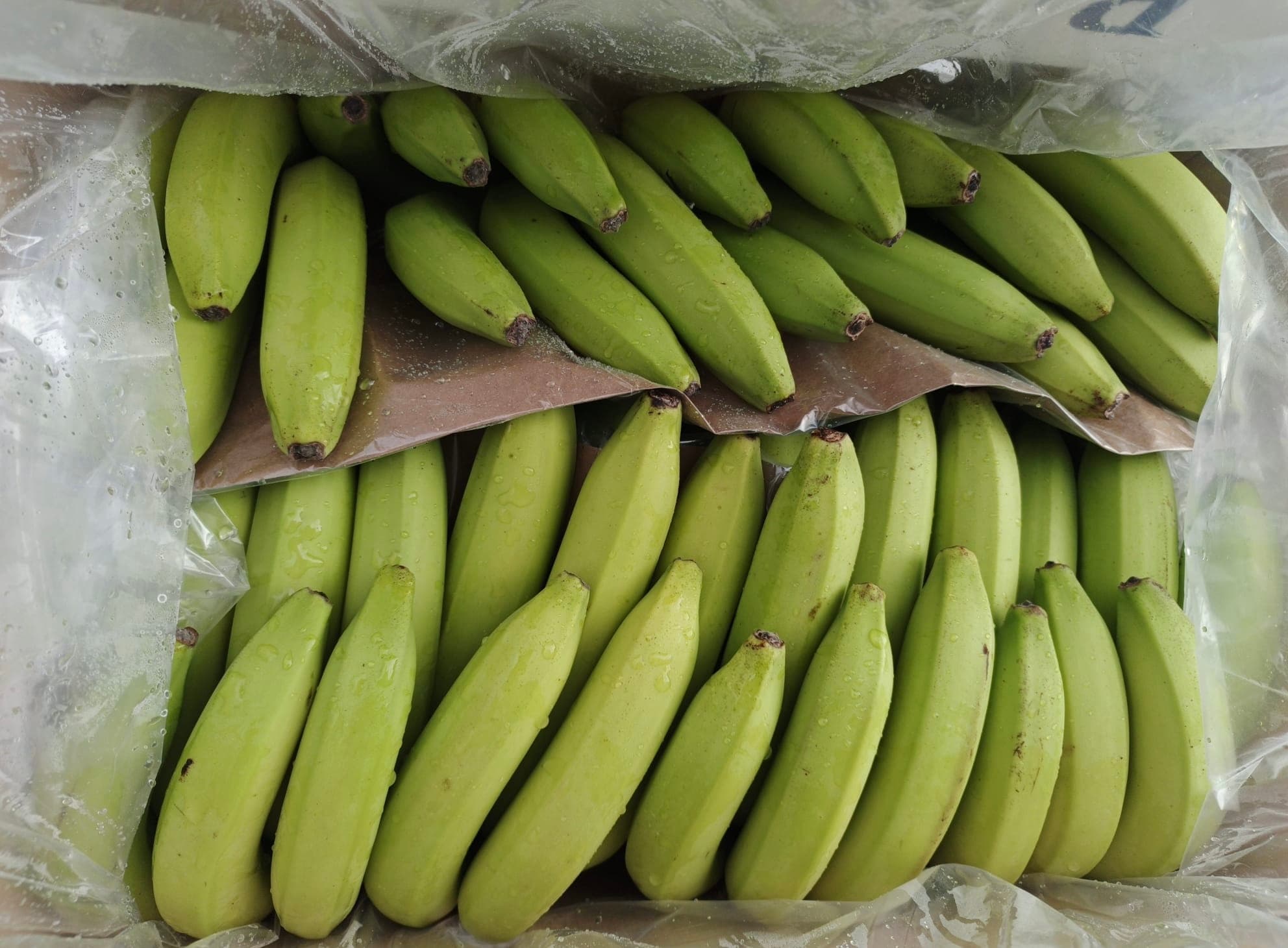 Bunch of ripe bananas