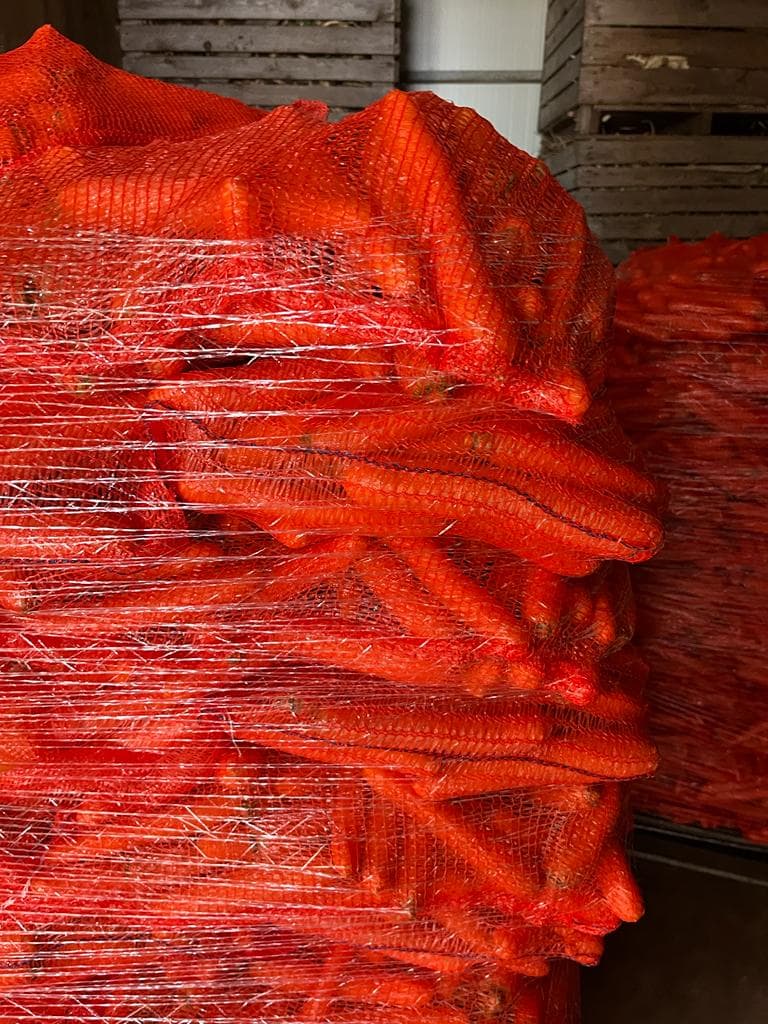 Bunch of fresh carrots