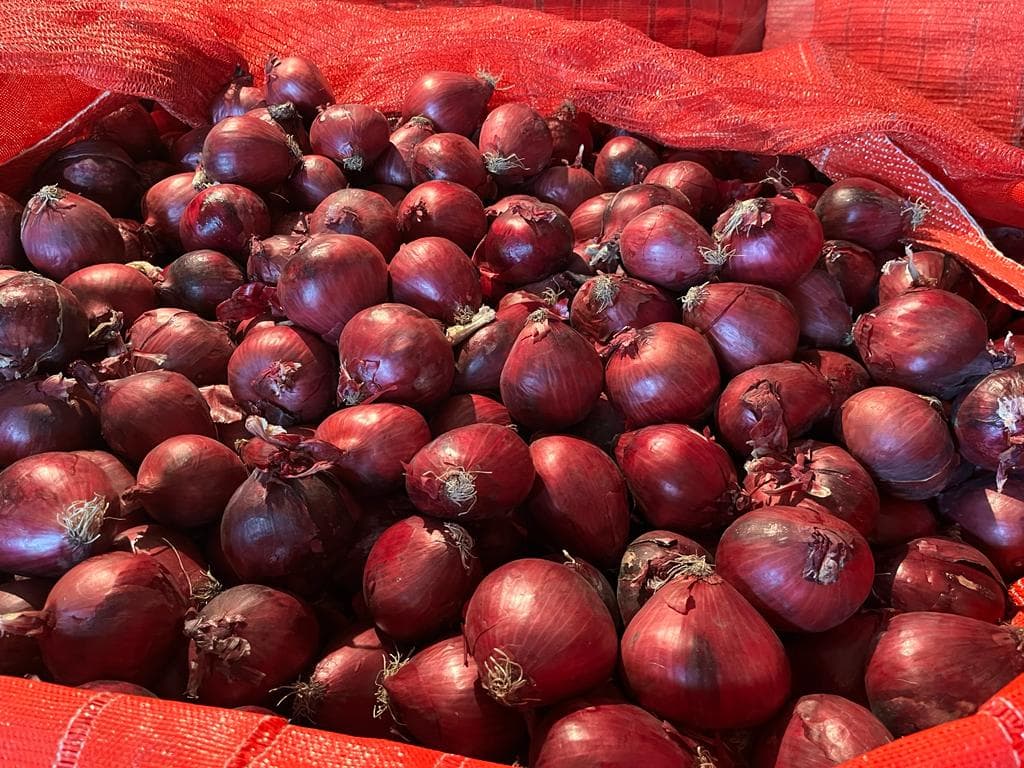 Pile of dried onions