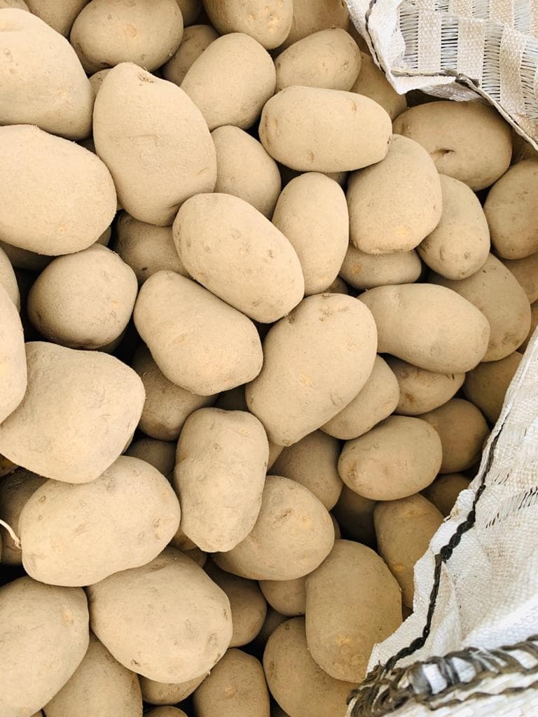 Pile of fresh potatoes