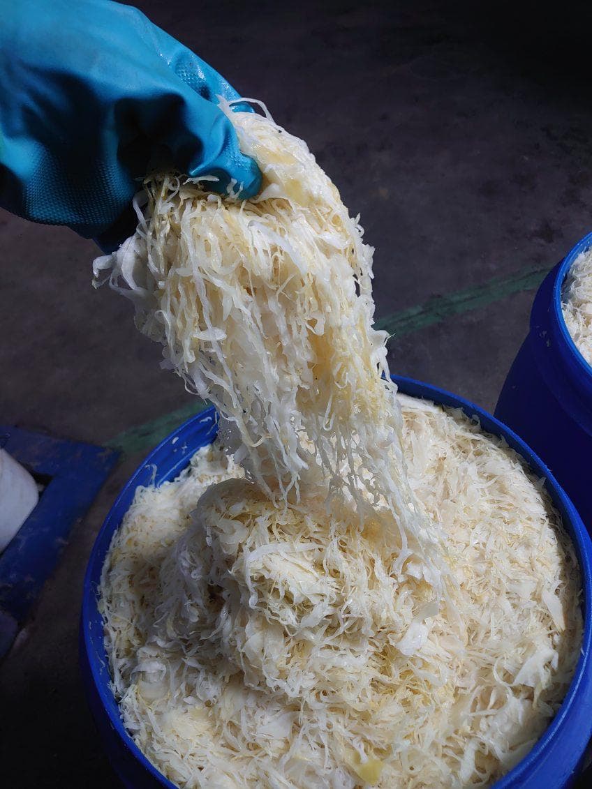 Traditional sauerkraut