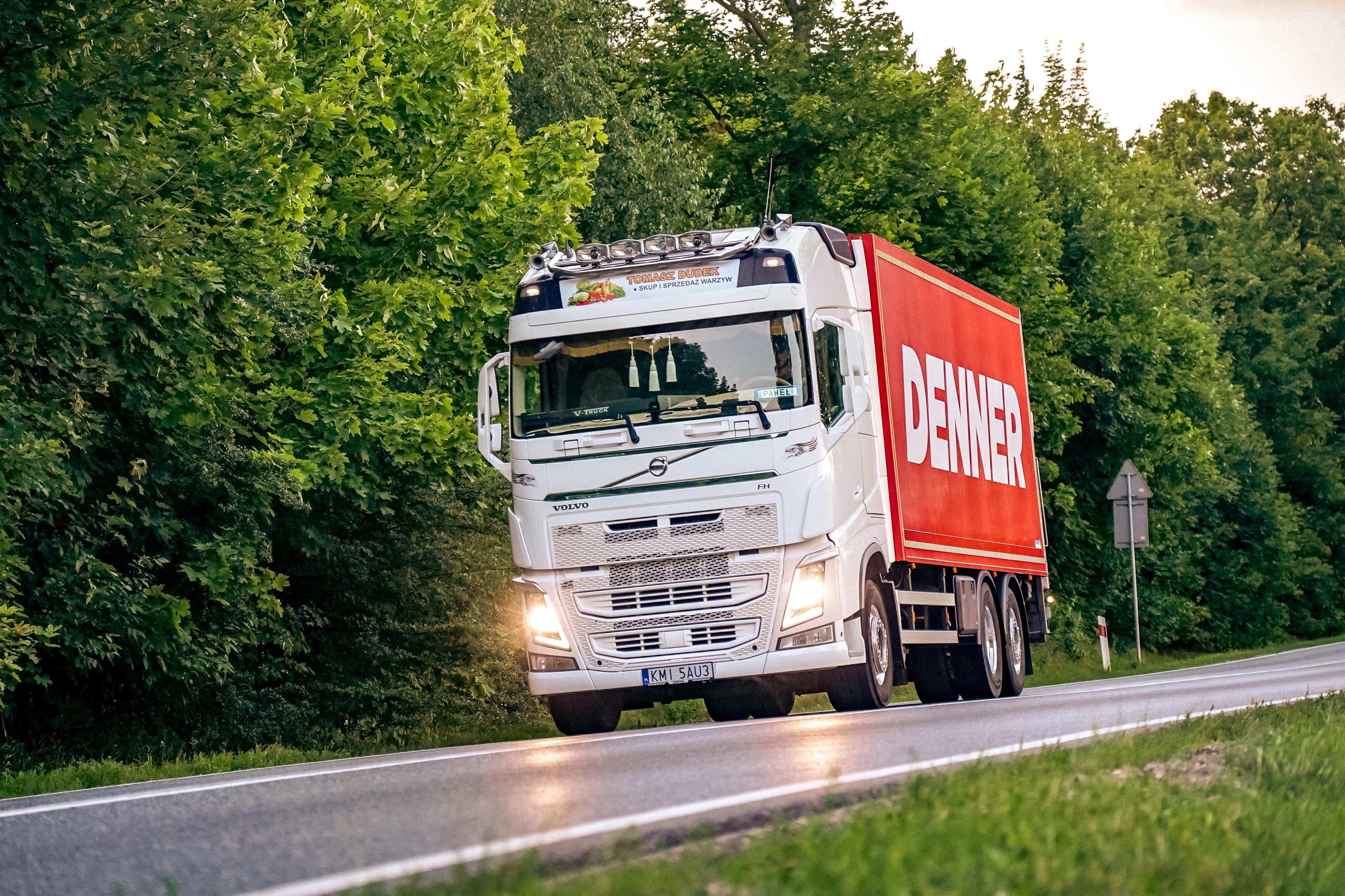 Unternehmens-Transport-Lkw